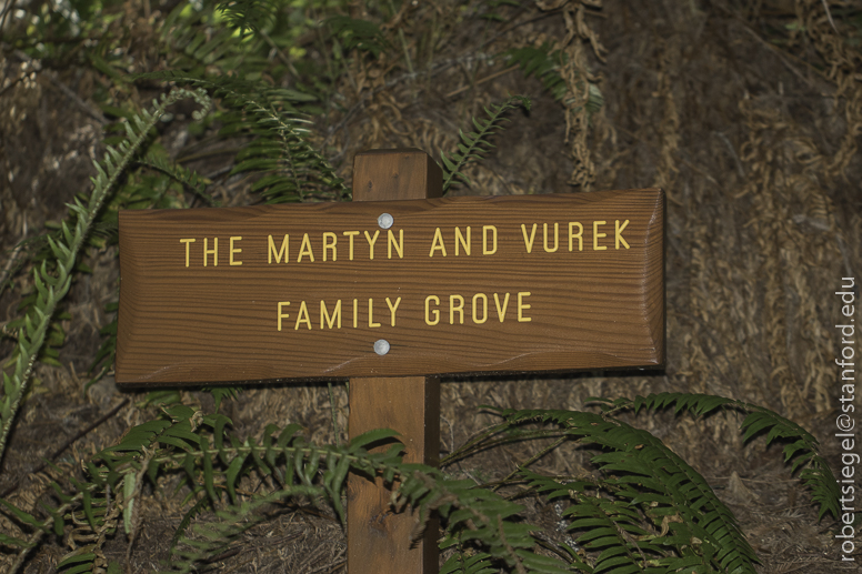 stanford-to-the-sea-2019